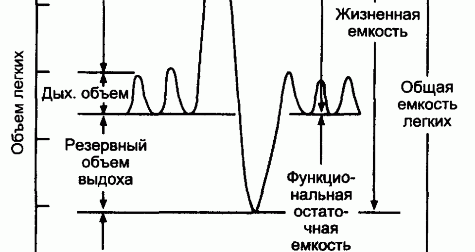 1 нарисовать спирограмму